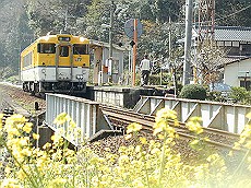 P4070008_thumb.jpg