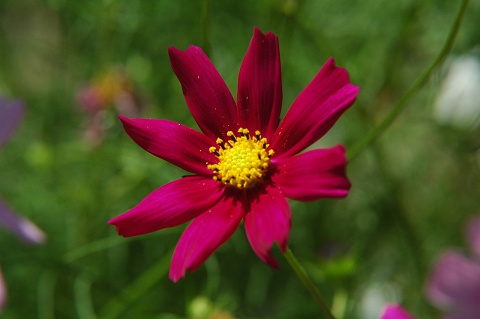 DSC_Y00C20060.jpg