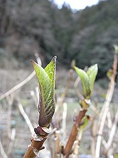02_RIMG0399 (10)_thumb.jpg