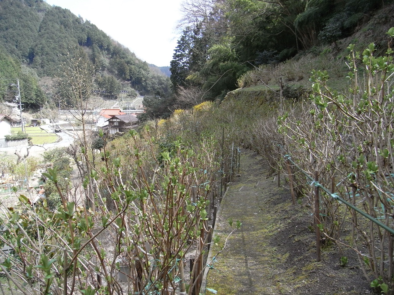 03_RIMG0399 (11).JPG