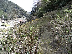 03_RIMG0399 (11)_thumb.jpg