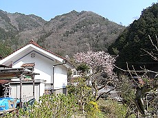 04_RIMG0399 (12)_thumb.jpg