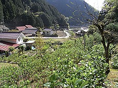 05_RIMG0399 (13)_thumb.jpg