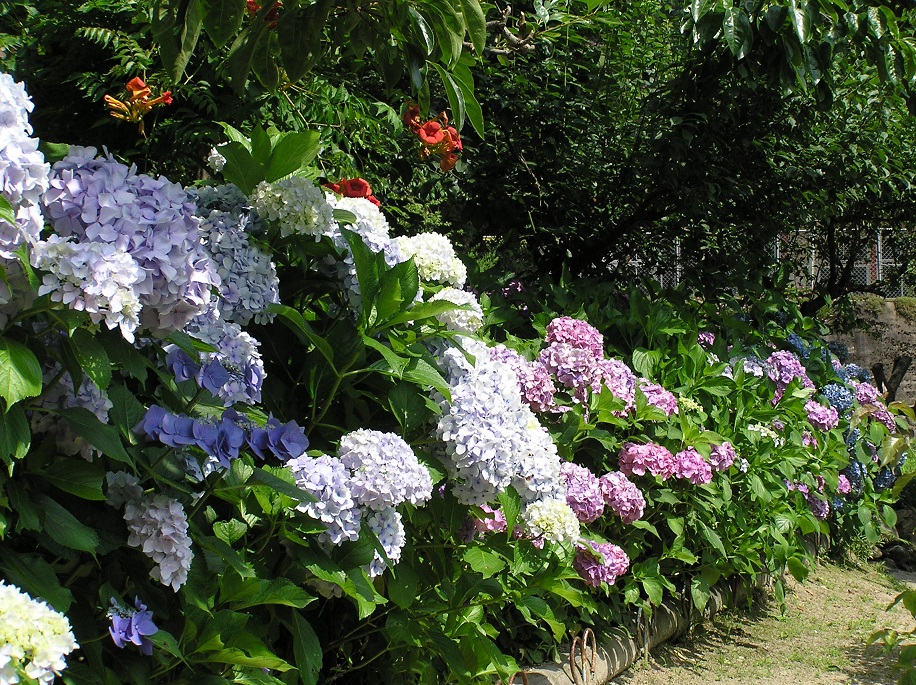 11_RIMG0399 (2).JPG