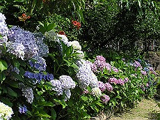 11_RIMG0399 (2)_thumb.jpg