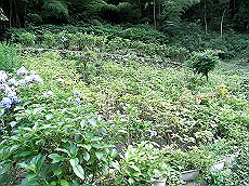 12_RIMG0399 (3)_thumb.jpg