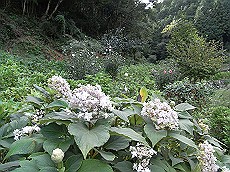 13_RIMG0399 (4)_thumb.jpg