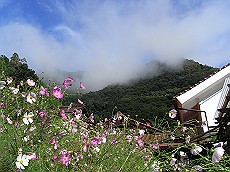 14_RIMG0399 (5)_thumb.jpg