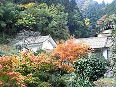16_RIMG0399 (7)_thumb.jpg