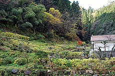 17_RIMG0399 (8)_thumb.jpg