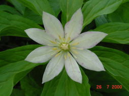 �L�k�K�T�\�E