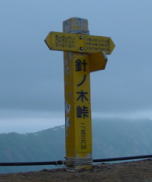 �j�̖ؓ��̓��W