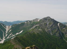 �X�o���x����̐j�̖؊x