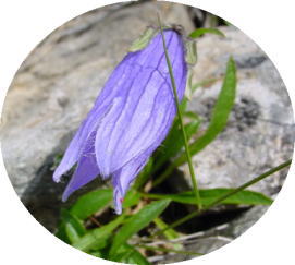 �`�V�}�M�L���E