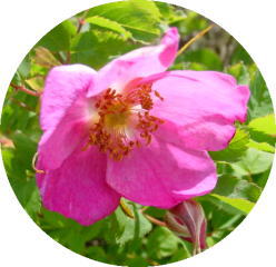 �^�J�l�o��