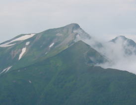 ���������x