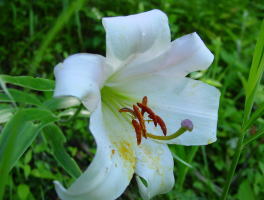 �T�T����