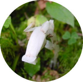 �M�������E�\�E