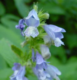 �~�\�K���\�E