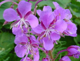 ���i�M����