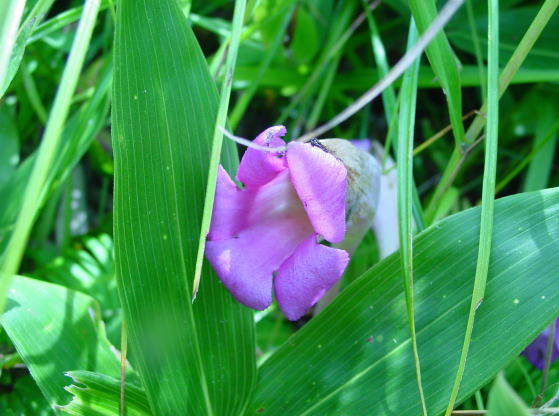 �I�I�i���o���M�Z��