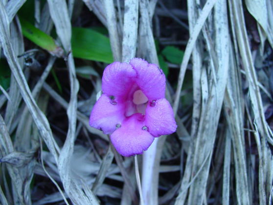 �I�I�i���o���M�Z��