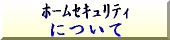 z[ZLeBɂ