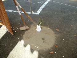荻